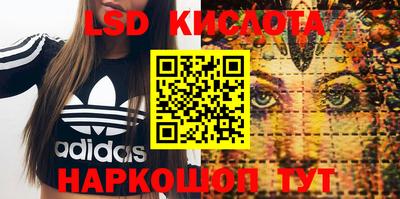 гидропоника Будённовск