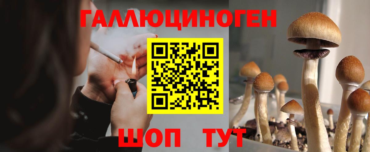 Санкт-Петербург  Псилоцибиновые грибы Psilocybe  Вход с VPN 